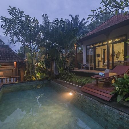Virmas Private Villa Ubud Kültér fotó